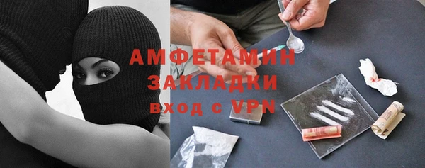 индика Козельск
