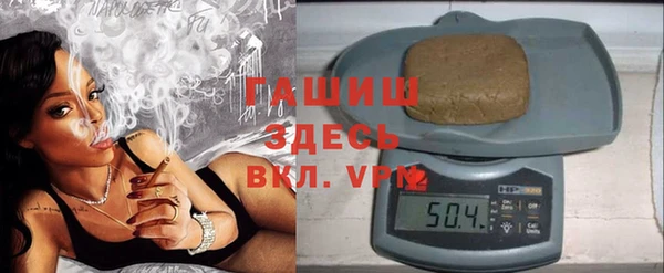 индика Козельск