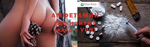 индика Козельск