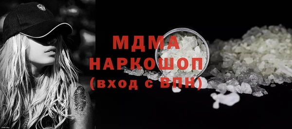 индика Козельск