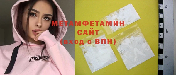индика Козельск