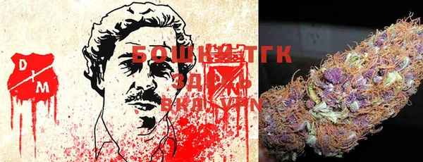 индика Козельск