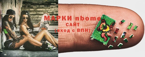 индика Козельск