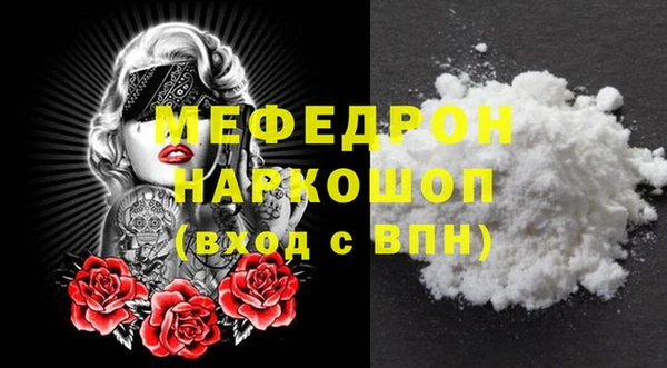 индика Козельск
