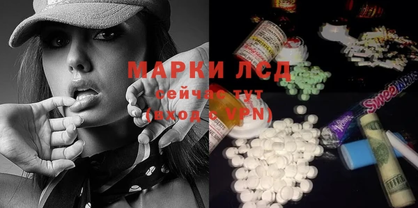 индика Козельск