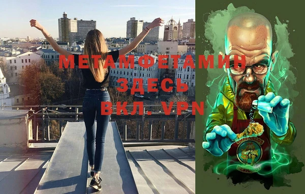 индика Козельск