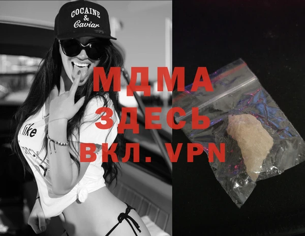 индика Козельск