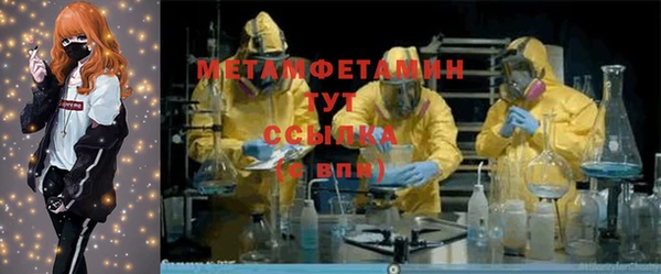 индика Козельск