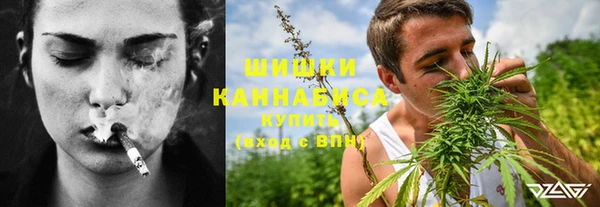индика Козельск