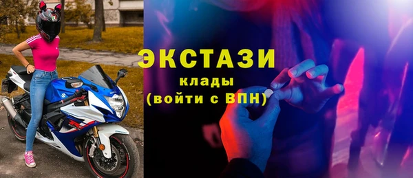 индика Козельск